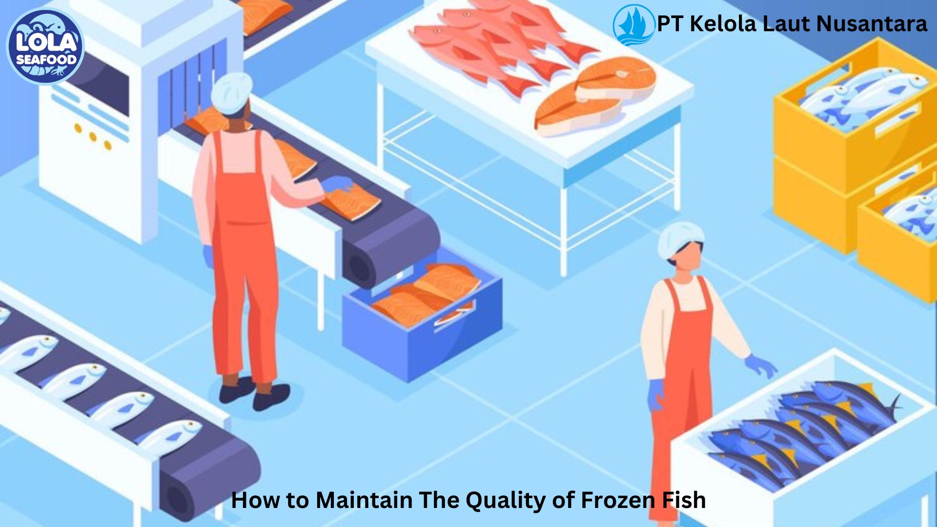 How to Maintain The Quality of Frozen Fish